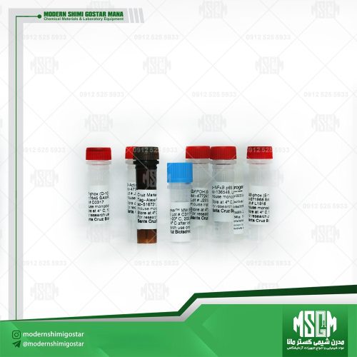 آنتی بادی و مارکر وزن مولکولی antibody & molecular weight marker