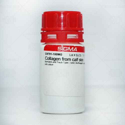 کلاژن Collagen from calf skin C9791-sigmaaldrich