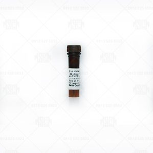 مارکر وزن مولکولی سانتا کروز Cruz Marker™ MW Tag-Alexa Fluor® 790 sc-516731