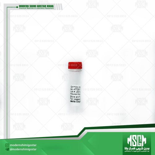 آنتی بادی GAPDH سانتا کروز GAPDH Antibody (0411)