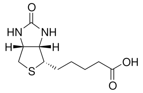 رفرنس استاندارد USP بیوتین 1071508 Biotin