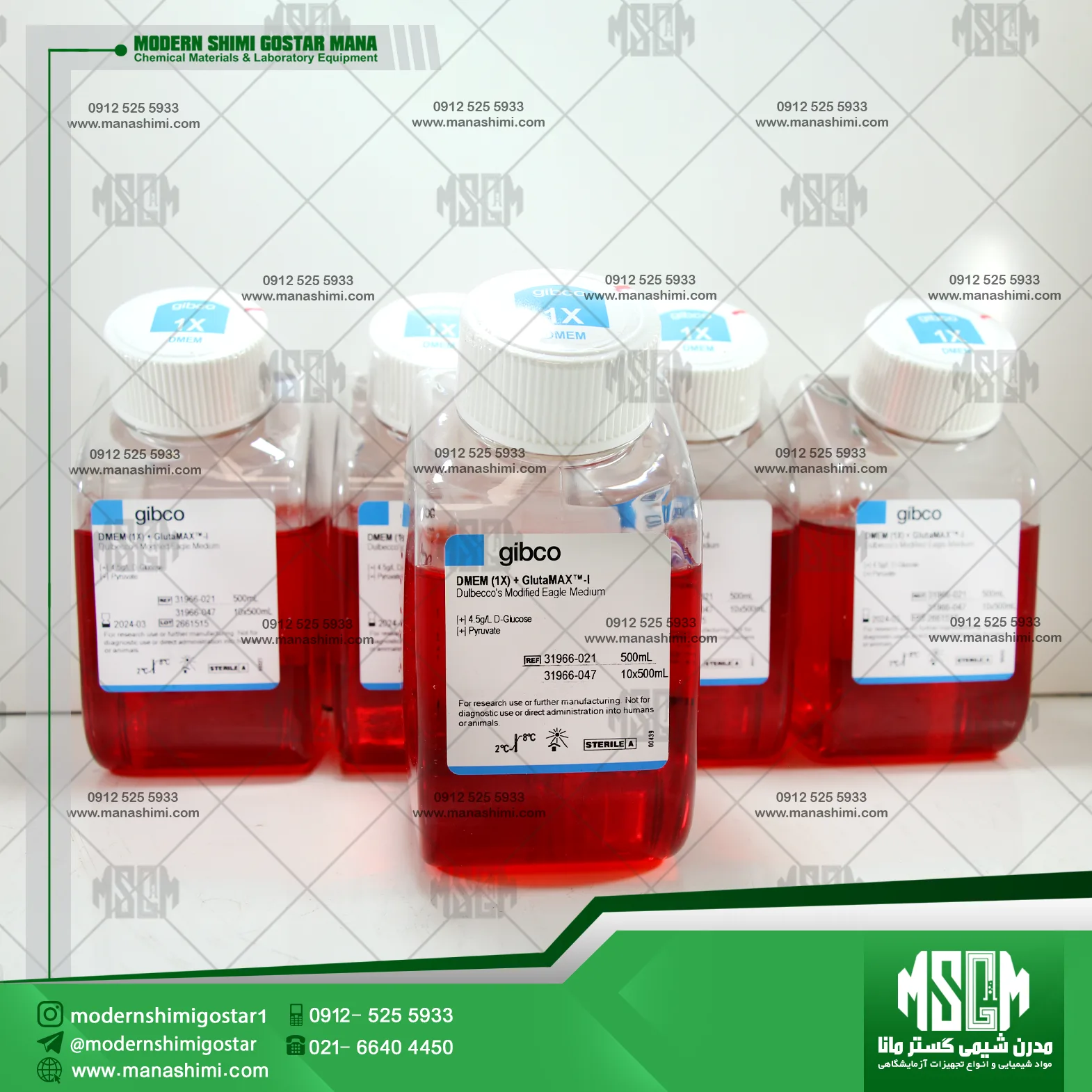 image-hadbeen-taken-by-manashimi.com-website DMEM high glucose (1X) + GlutaMAX™ Supplement کد 31966021