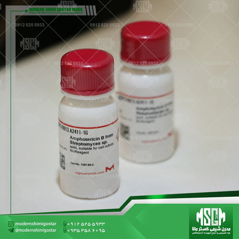 image-hadbeen-taken-by-manashimi.com-website