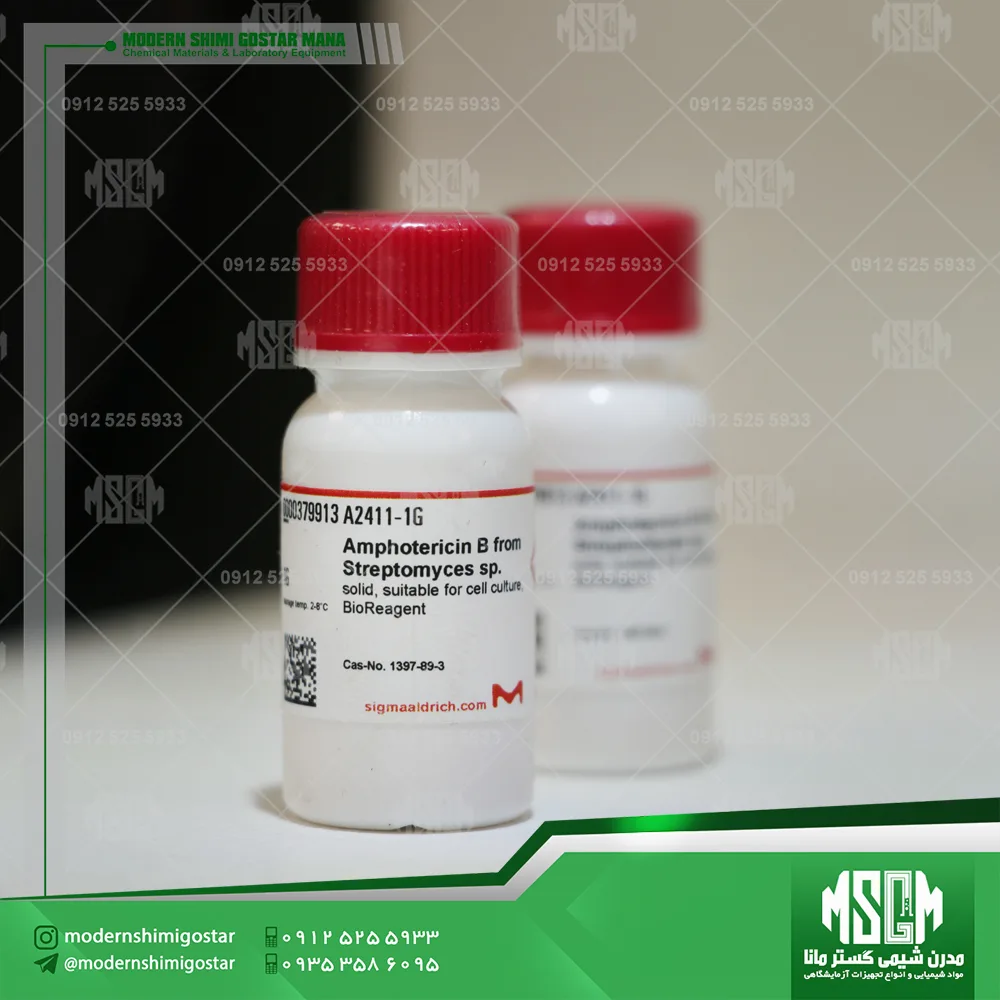 image-hadbeen-taken-by-manashimi.com-website امفوتریپسین بی (کد A2411) Amphotericin B from Streptomyces sp.- cas 1397-89-3-برند sigmaaldrich
