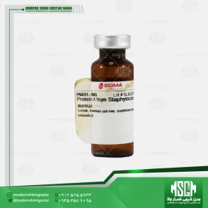 پروتئین A از استافیلوکوک اورئوس (کد A6031) Protein A from Staphylococcus aureus-sigmaaldrich