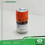 فلورفنیکول (CAS 73231-34-2) Florfenicol واحد 100 میلی‌گرم