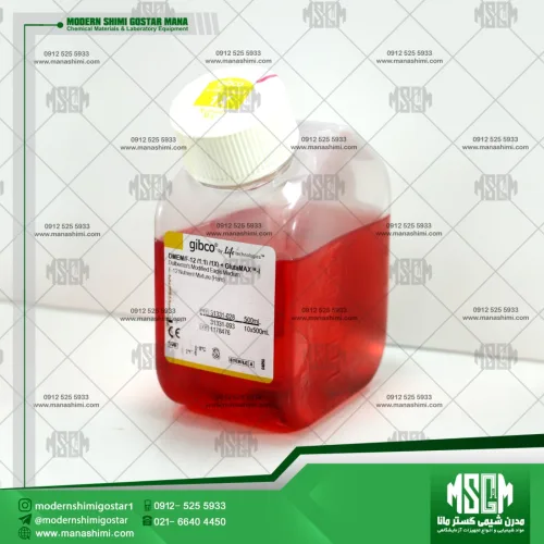 DMEM/F-12, GlutaMAX™ supplement | Gibco 31331028
