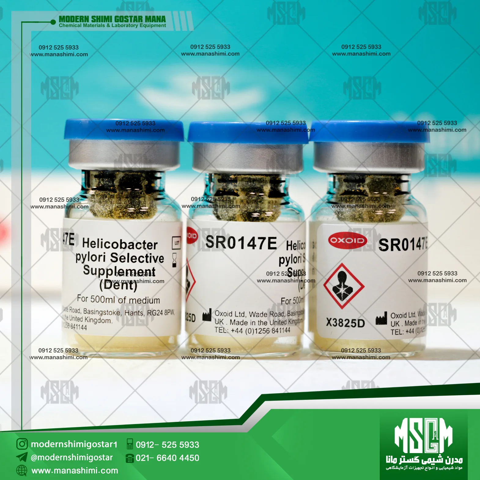 image-hadbeen-taken-by-manashimi.com-website ساپلمنت هلیکوباکتر پیلوری | Helicobacter Pylori Selective Supplement