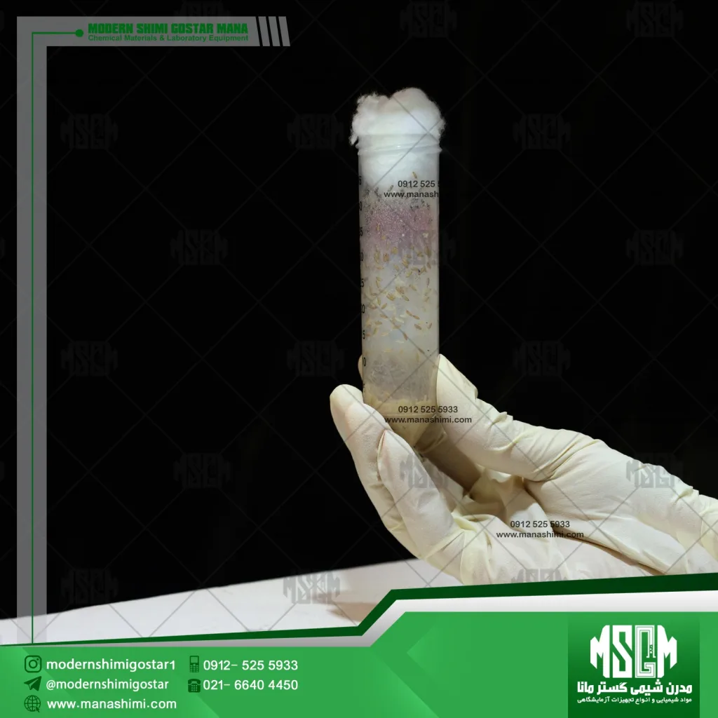 مگس سرکه آزمایشگاهی (Drosophila melanogaster)